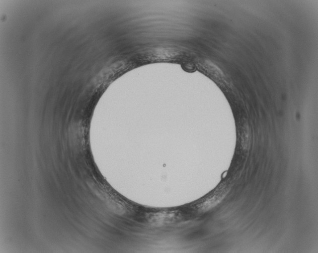 X0000062870366200602101657