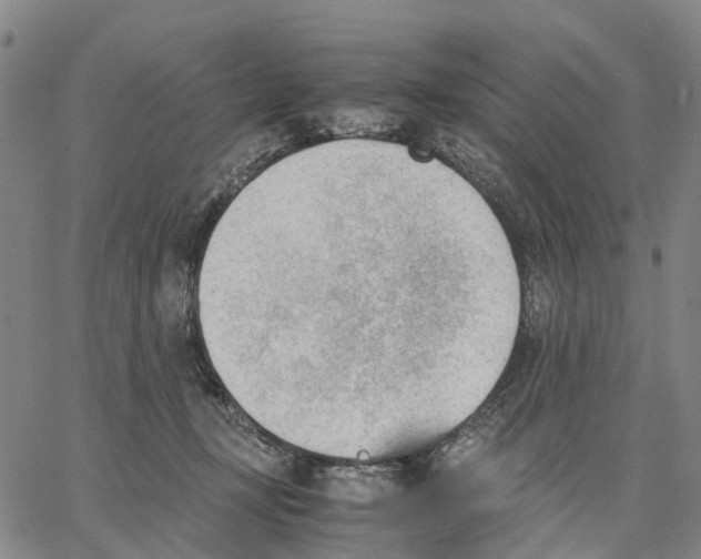 X0000062870367200602101657