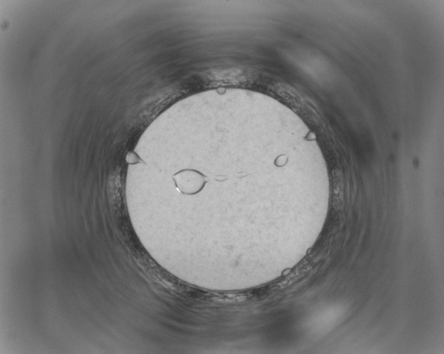 X0000062870369200602101657