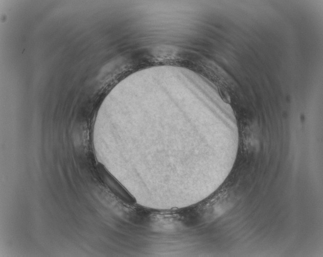 X0000062870372200602101657