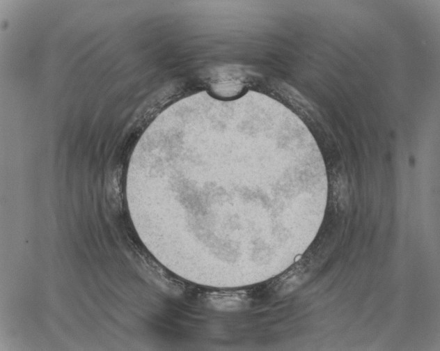 X0000062870373200602101657