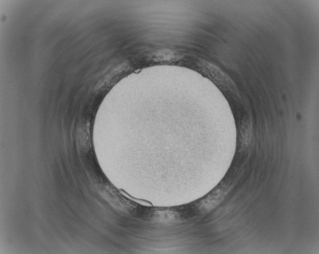 X0000062870376200602101657