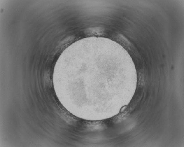 X0000062870377200602101657