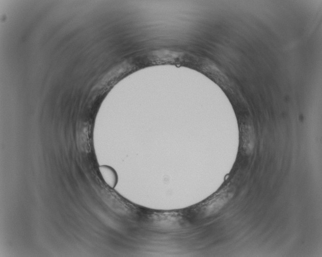 X0000062870378200602101657