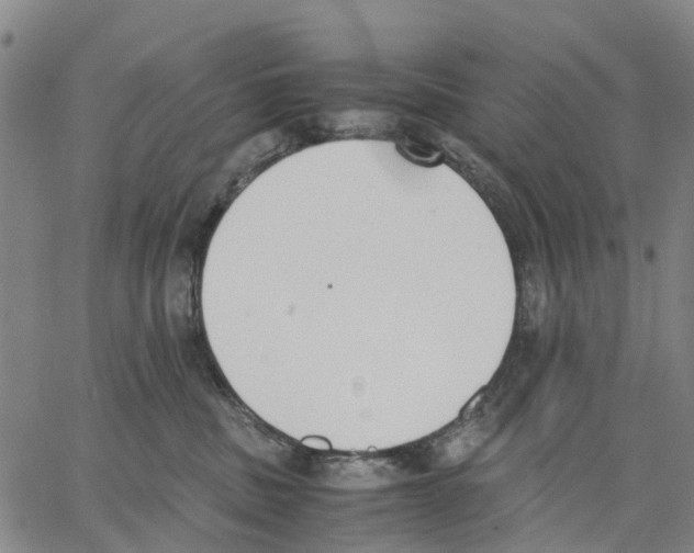 X0000062870379200602101657