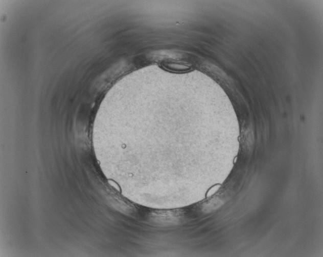 X0000062870381200602101657