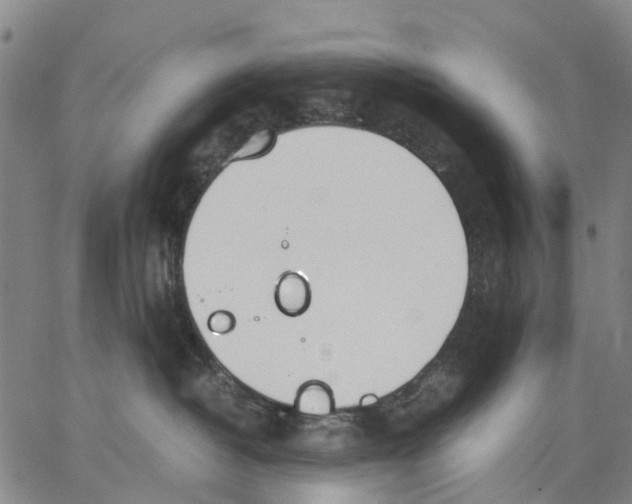 X0000062870382200602101657