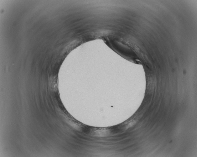 X0000062870383200602101657