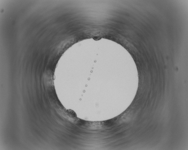 X0000062870384200602101657