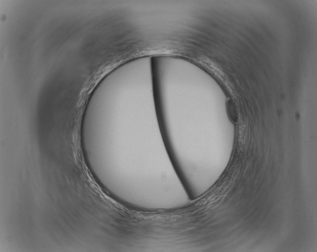 X0000062870385200602101657