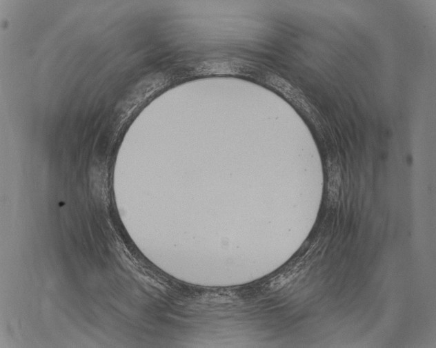 X0000062870386200602101657