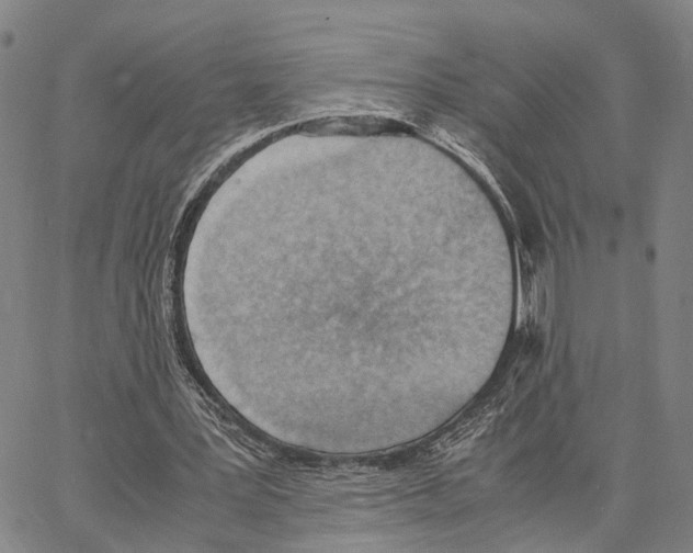 X0000062870387200602101657