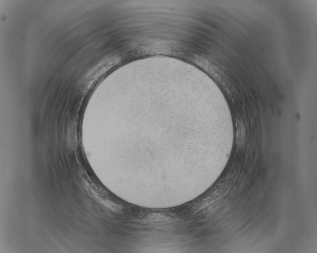 X0000062870390200602101657