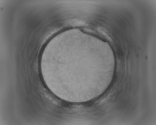 X0000062870391200602101657