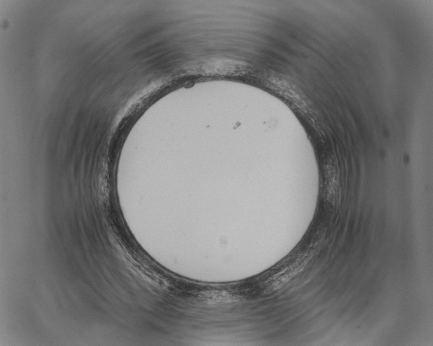 X0000062870392200602101657