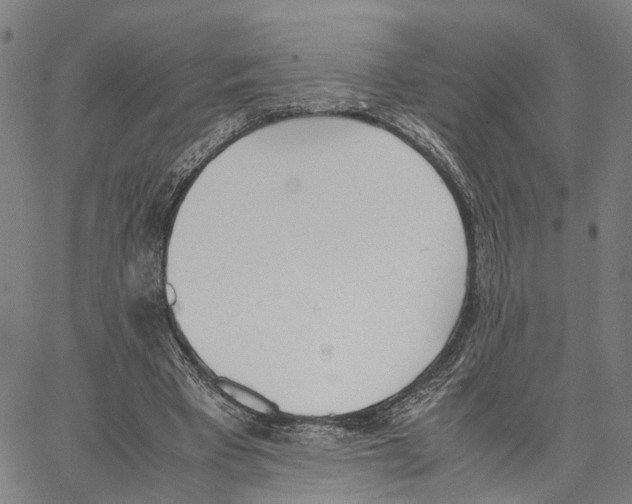 X0000062870393200602101657