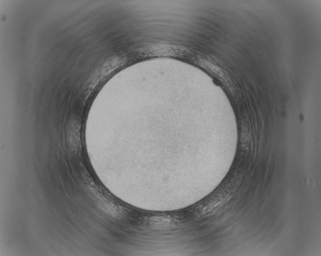 X0000062870394200602101657