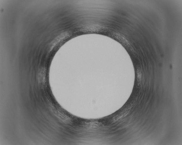 X0000062870396200602101657