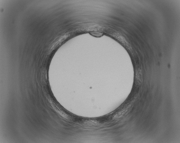 X0000062870397200602101657