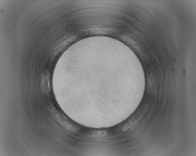 X0000062870398200602101656