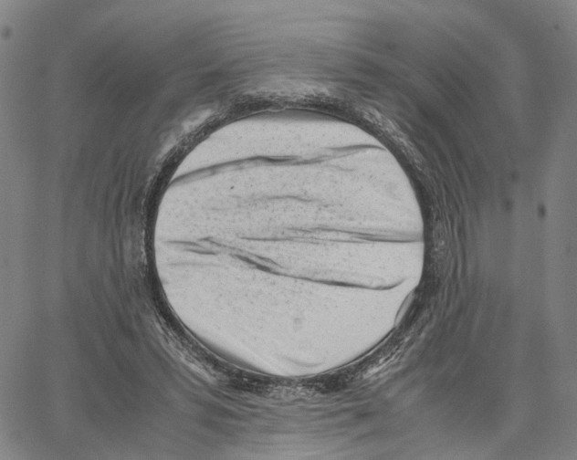 X0000062870399200602101656