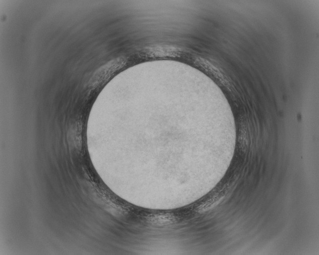 X0000062870402200602101656