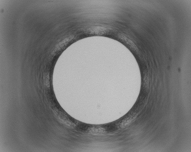 X0000062870403200602101656