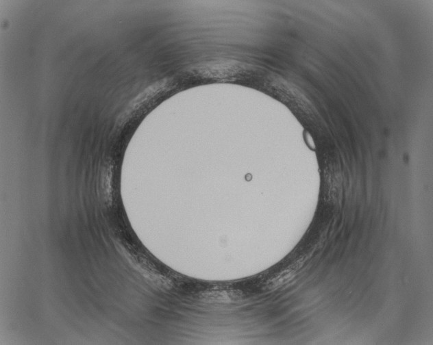 X0000062870404200602101656