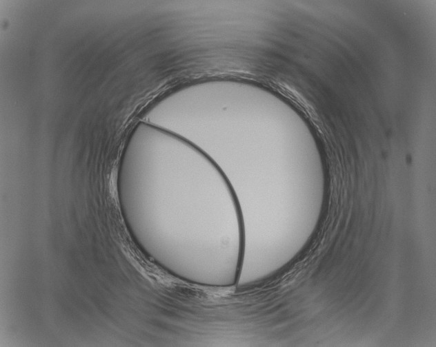 X0000062870405200602101656