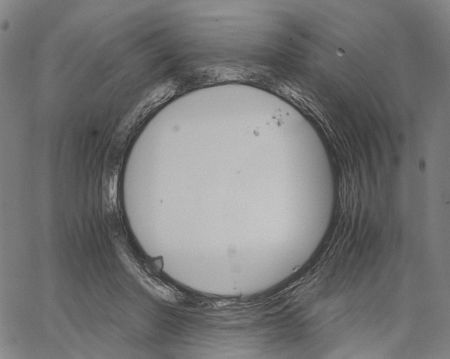 X0000062870406200602101656