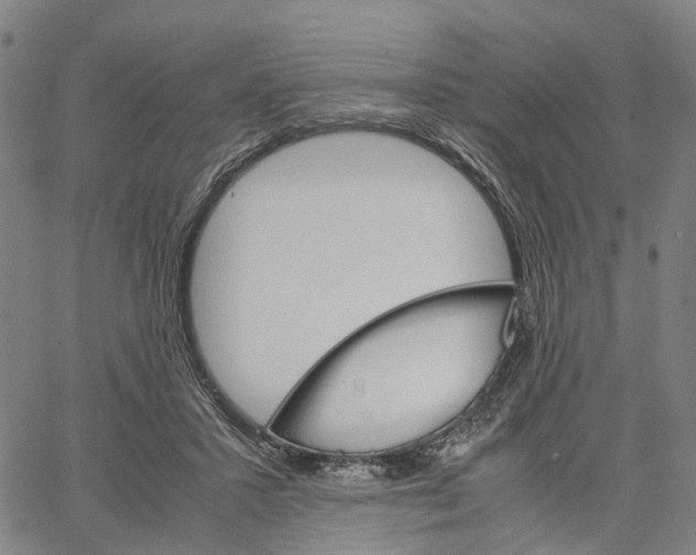 X0000062870407200602101656