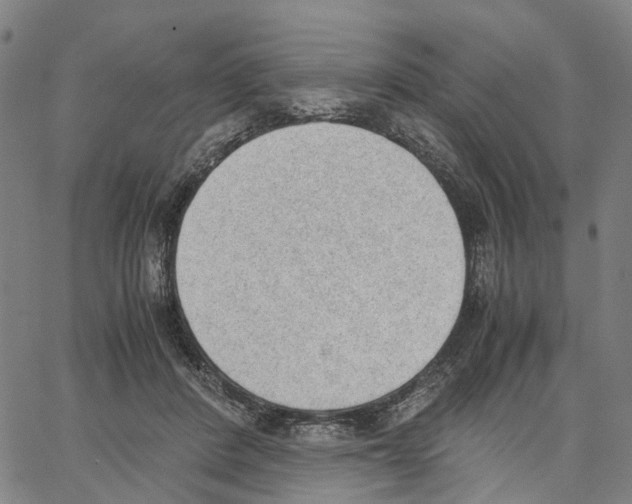 X0000062870408200602101656