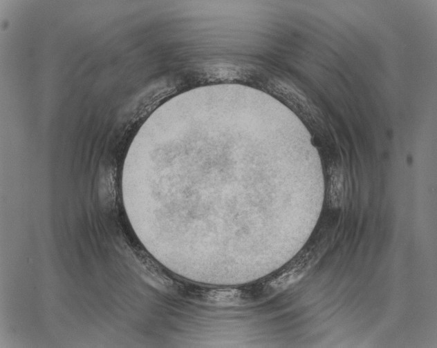 X0000062870410200602101656