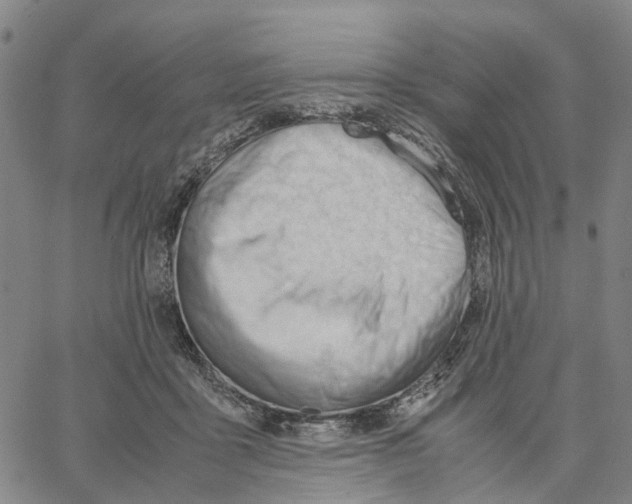 X0000062870411200602101656