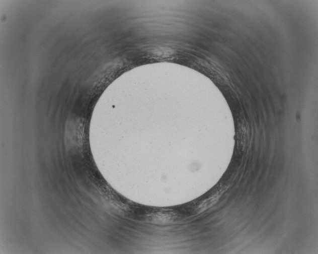 X0000062870412200602101656