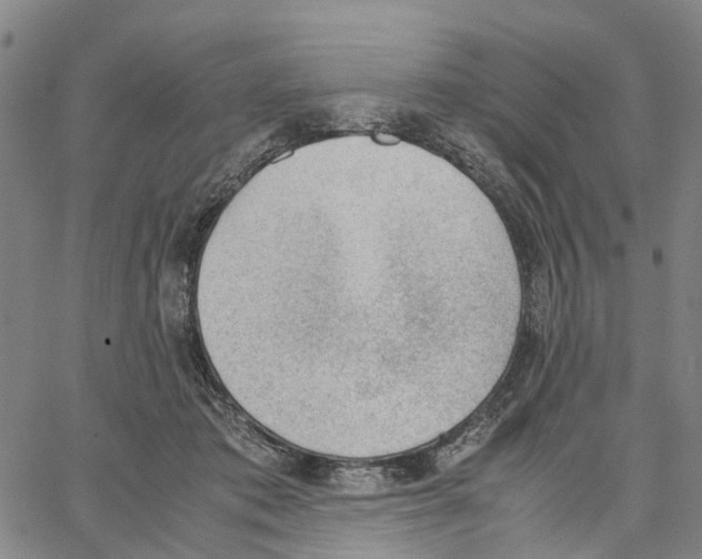 X0000062870413200602101656