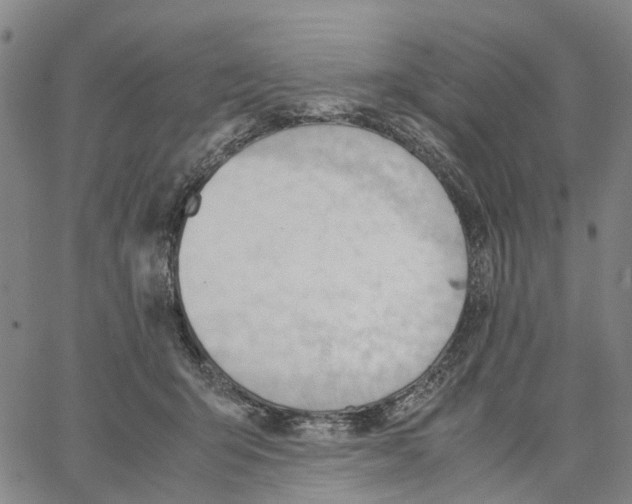 X0000062870415200602101656