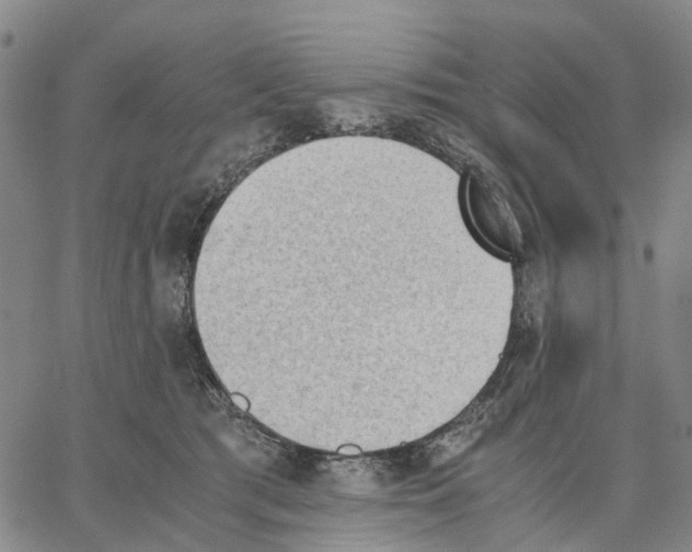 X0000062870417200602101656