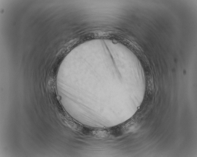 X0000062870419200602101656