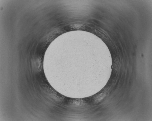 X0000062870420200602101656