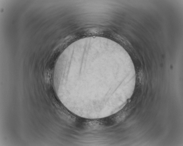 X0000062870423200602101656