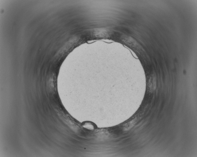 X0000062870424200602101656