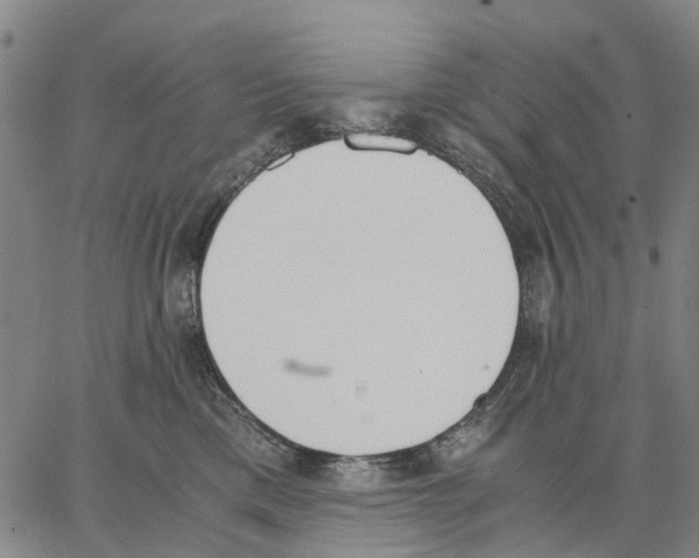 X0000062870425200602101656