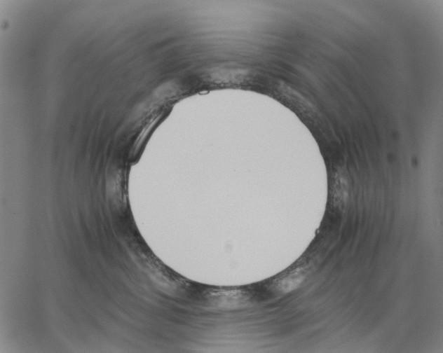 X0000062870428200602101656