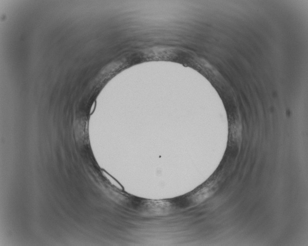 X0000062870429200602101656