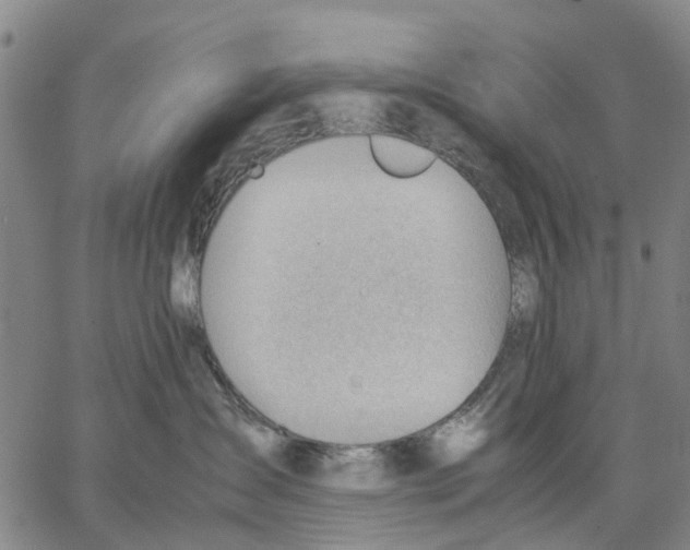 X0000062870431200602101656