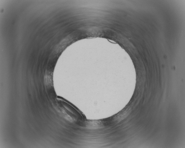 X0000062870432200602101656