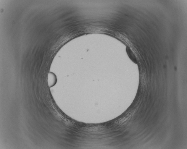 X0000062870433200602101655