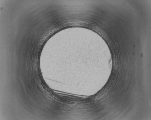 X0000062870434200602101655