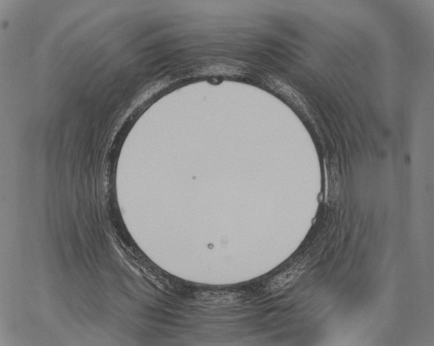 X0000062870435200602101655